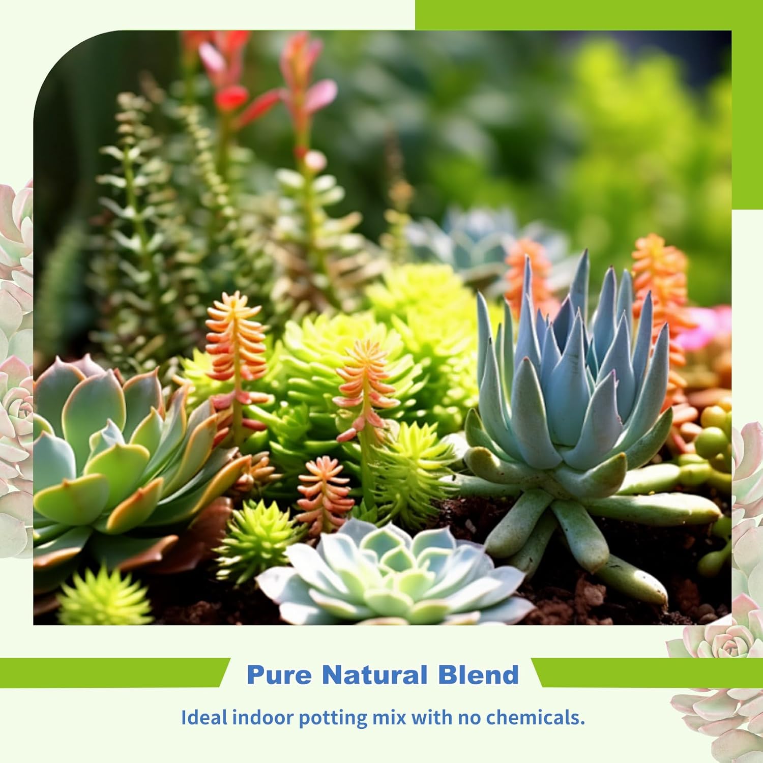 Succulent and Cactus Soil Potting Mix 10qt-Premium Breathable & Fast Draining for Healthy Plants