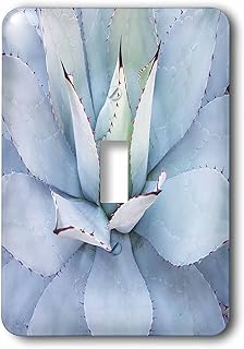 3dRose lsp_255513_1 Image of Beautiful Mexican Blue Cactus Toggle Switch, Multicolor