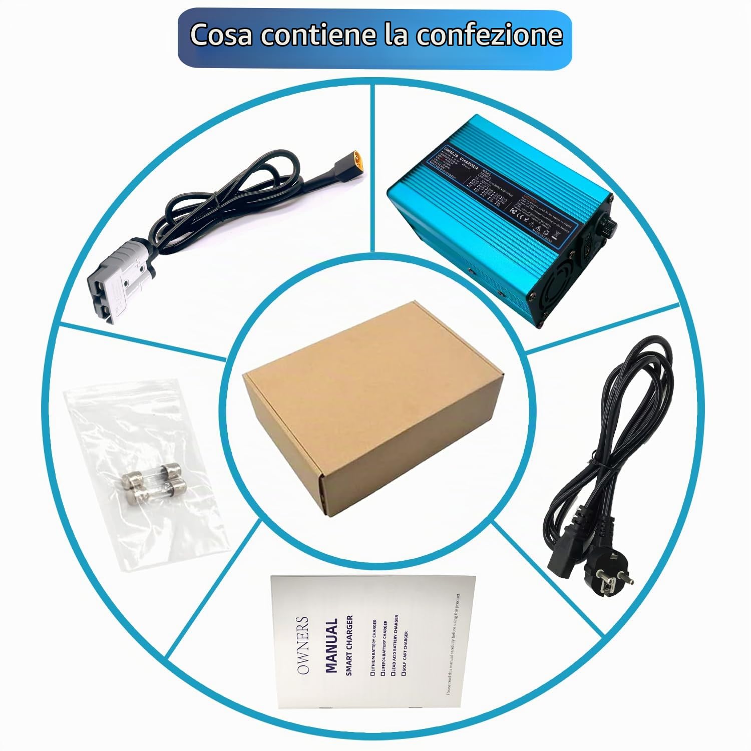 Caricabatterie LiFePO4 da 29,2 V 10 A con indicatori LED, supporta la ricarica rapida, esterno blu con connettore Anderson grigio da 50 A