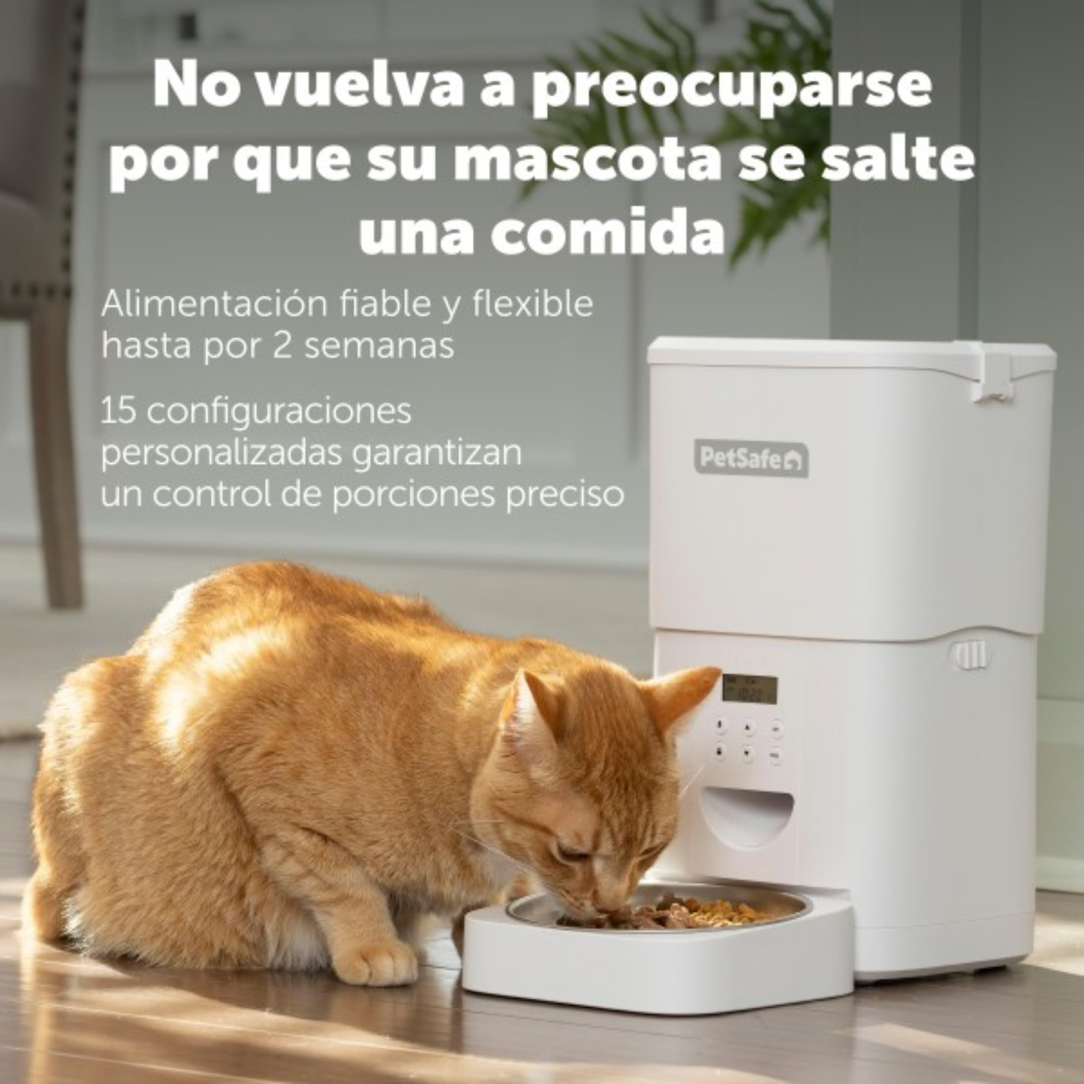 Comedero automático PetSafe FlexFeed 2L para Perros y Gatos, programable y con Control de porciones