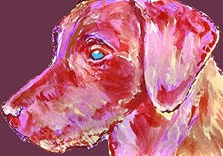 Labrador Purple, Pink Wall Art Print, Labrador Gift, Lab Dog Artwork, Gift For Labrador Owner, Dog Painting, Labrador Dog Gift
