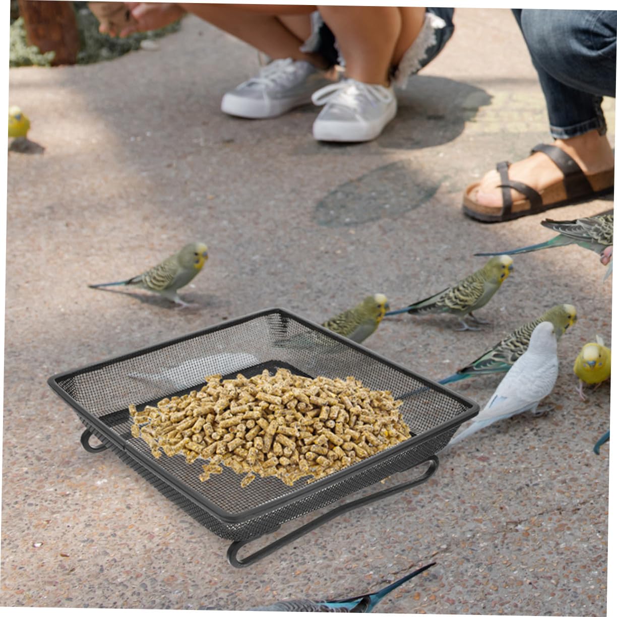 Comedero Terrestre para Pájaros Silvestres Plataforma Cuadrada de Acero Inoxidable, Resistente Intemperie y Fácil de Limpiar para Jardín Exterior
