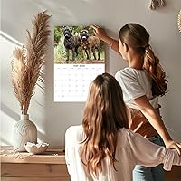 Vista 1198 de Razas de Perros 2017