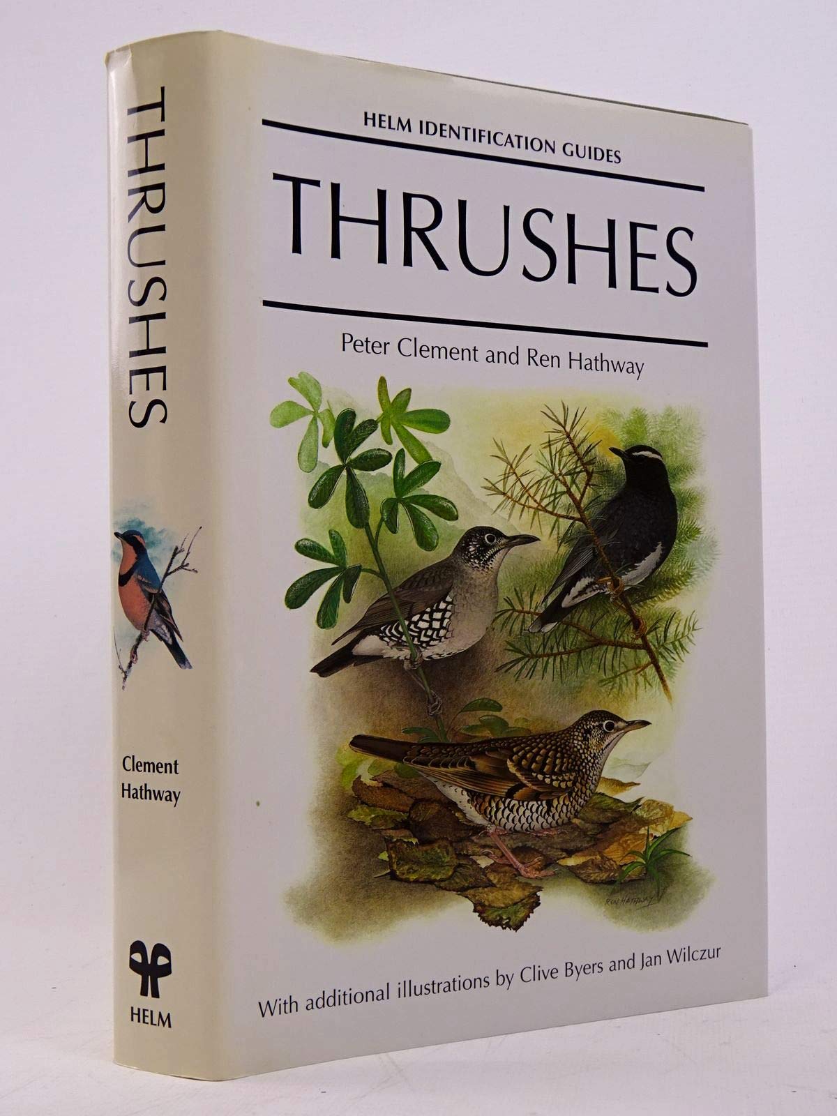 Thrushes - Helm Identification Series - Peter Clement