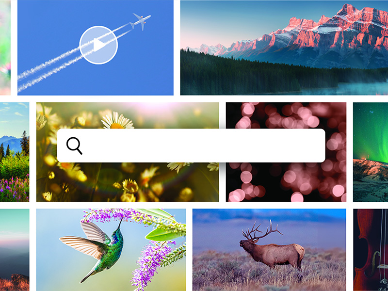 Amazon.com: Adobe Photoshop Elements & Premiere Elements 2026
