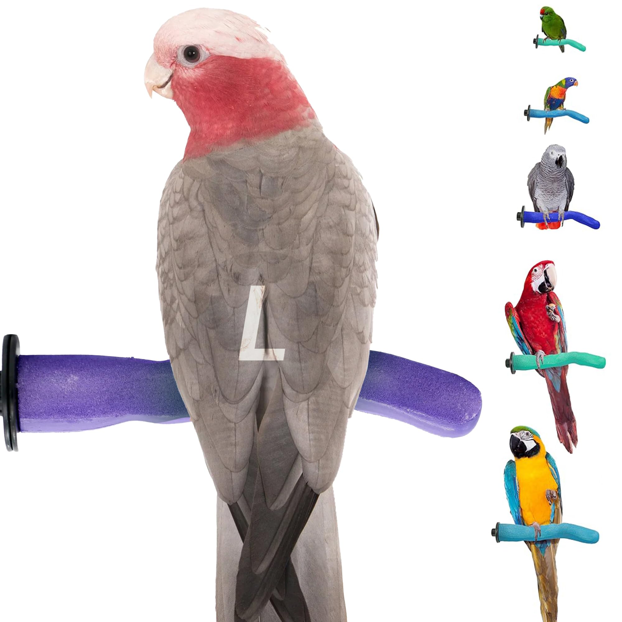 Sweet Feet and Beak Safety Pumice Bird Perch, Large Pedicure Perch, Purple