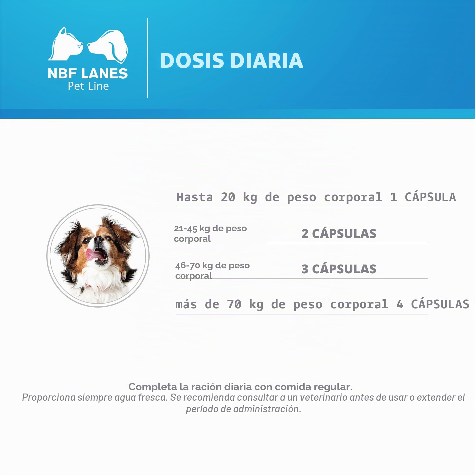 Artikill 200 perlas antiinflamatorias regenera cartílagos para perros