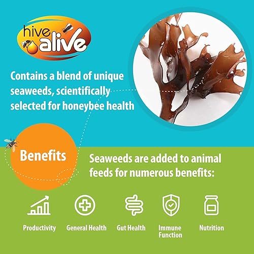 Miniatura 4 de HIVE ALIVE Suplemento alimenticio Fondant Bee - Potenciador de alimentación fácil de usar evita el hambre durante el invierno - Solo Fondant ha