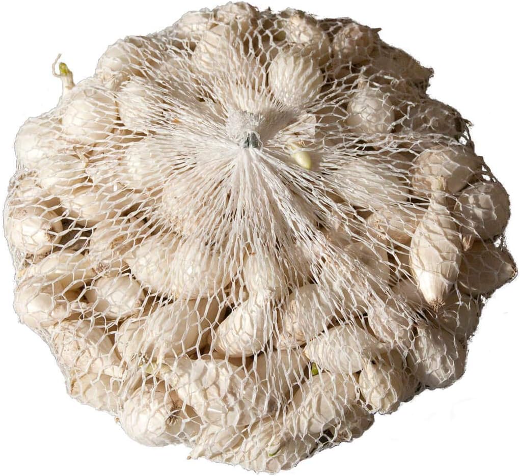 Échalote Steckzwiebeln (500 G), Échalote Légèrement | WhichOne