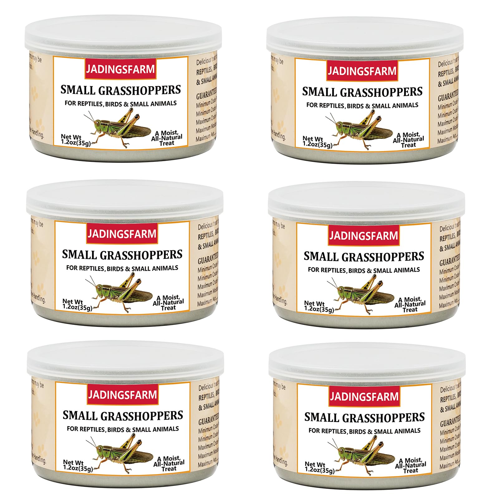 6 Pack Canned Small Grasshoppers for Reptiles, Fish, Birds and Small Animals, Grasshoppers, Healthy High Protein Treat, Bearded Dragon Food 1.2 Ounces Each