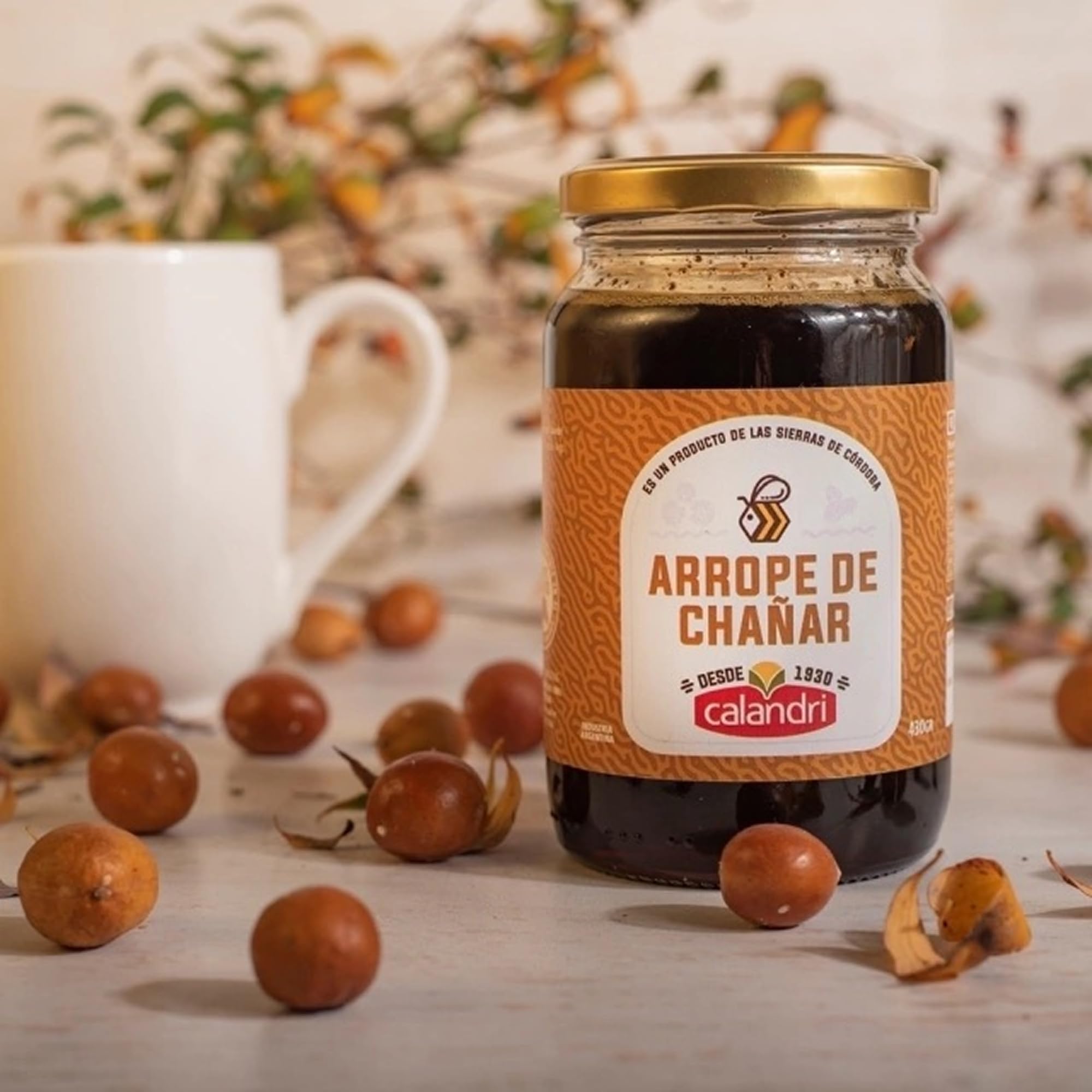 Arrope de Chañar Calandri – Sirope Natural Argentino 430 g – Elaborado con Fruto de Chañar