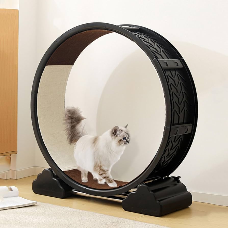 Amazon.co.jp: HSHBGS キャットホイール 直径90cm 車 回し車 静音 猫