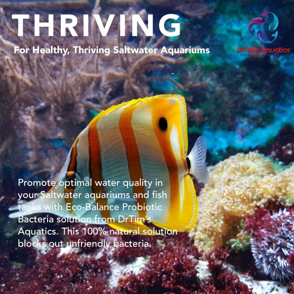 DrTim’s Aquatics Eco-Balance Saltwater– 128 oz – Probiotic System Support – Weekly Maintenance Formula for Balanced Aquariums – Helps Maintain Clarity, Consistent Parameters & Filter Performance