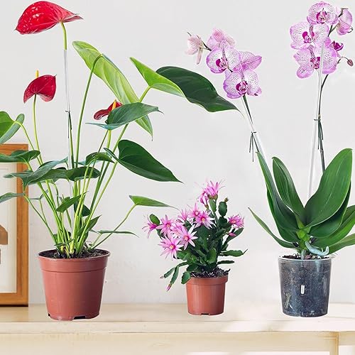Miniatura 4 de 15 estacas acrílicas para plantas de 16 pulgadas, estacas de orquídeas acrílicas transparentes, estacas de soporte para plantas con 15 clips