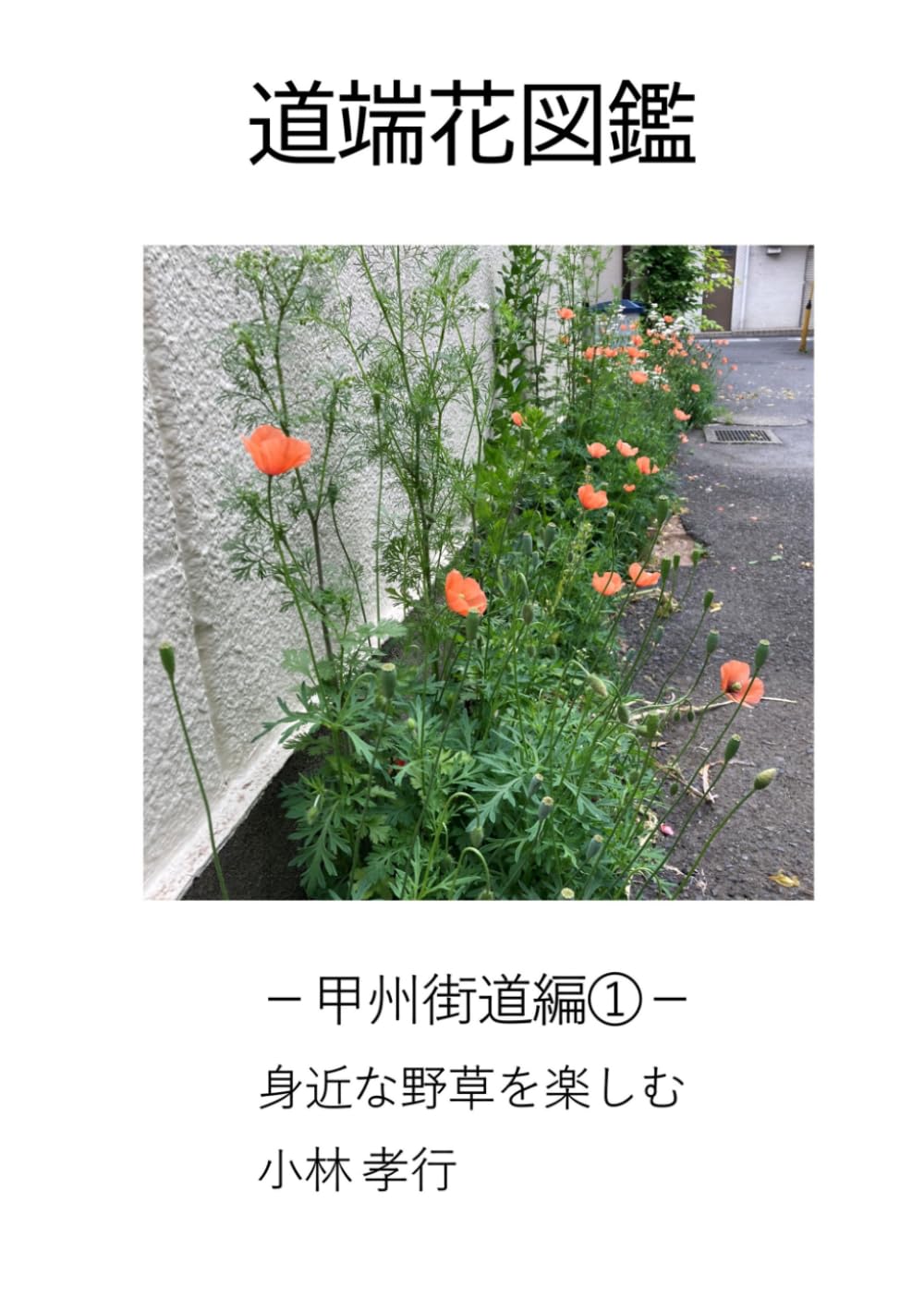 道端花図鑑－甲州街道編①: 身近な野草を楽しむ