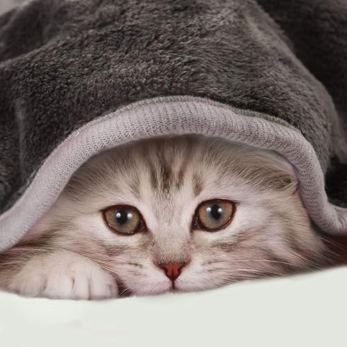 Miniatura 4 de PiccoCasa Manta de cama de forro polar, tamaño Queen, color gris, 130 GSM, suave y ligera, manta de franela de felpa de microfibra gruesa para todas