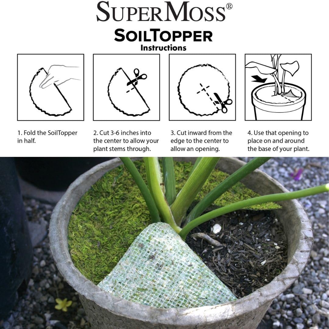 SuperMoss (26330) Moss Soil Toppers (Place Mats), Fresh Green, 18" (3 units)