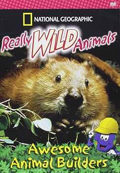 その他 World&#39;s Most: Amazing Animal Rescues [DVD] Fiercest Animal Rescues! [New DVD] Full Frame, Dolby