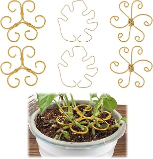 6pcs Metal Plant Stem Support, 3 Styles Vertical Growth Stake for Climbing Houseplant Iron Plants Stem Holder & Trellis Accessories for Outdoor Indoor House Monstera Stabilizing & Growing