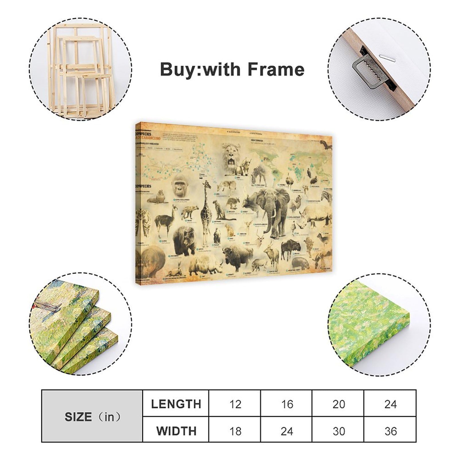 SOEPOTIX Torso Anatomy Model