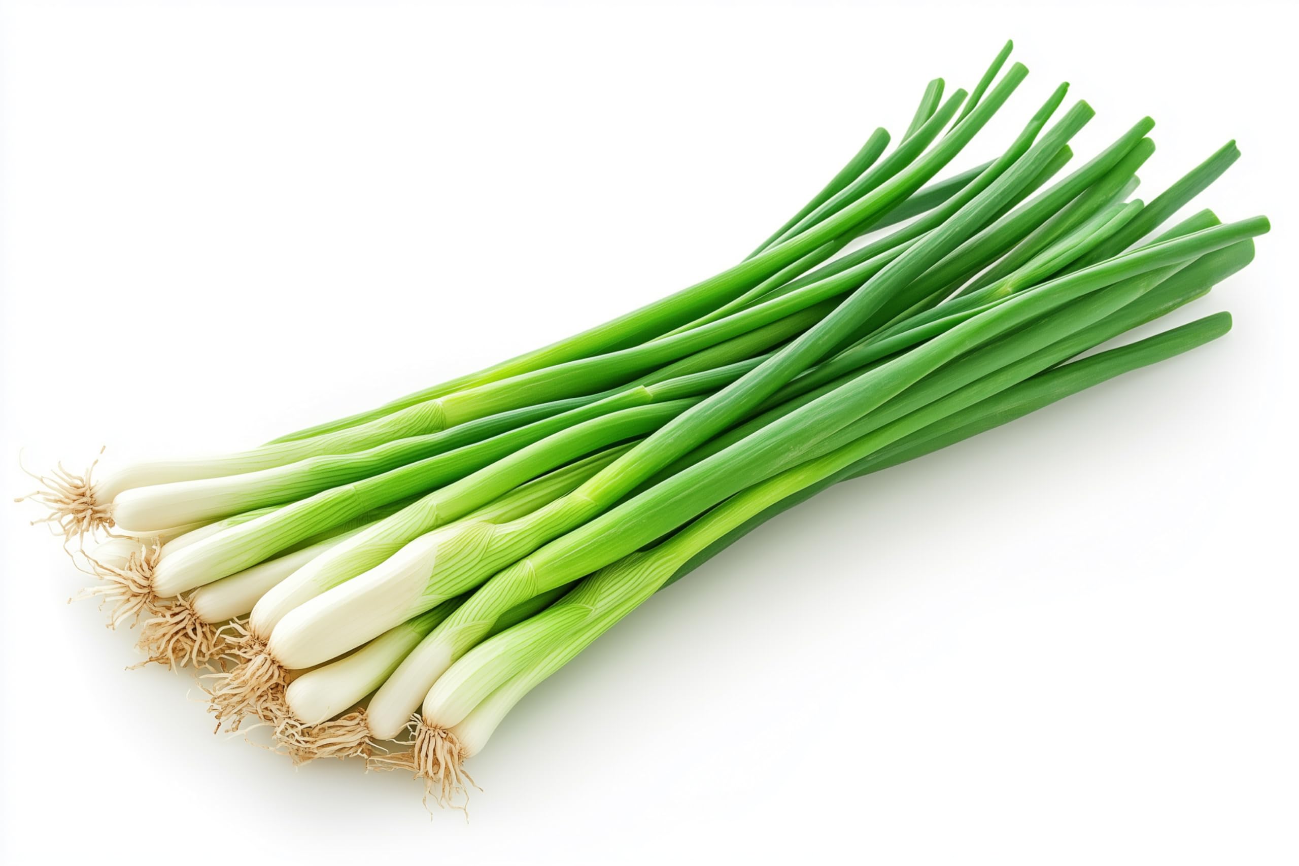 Fresh Green Onions Bunch by RawJoy Farms