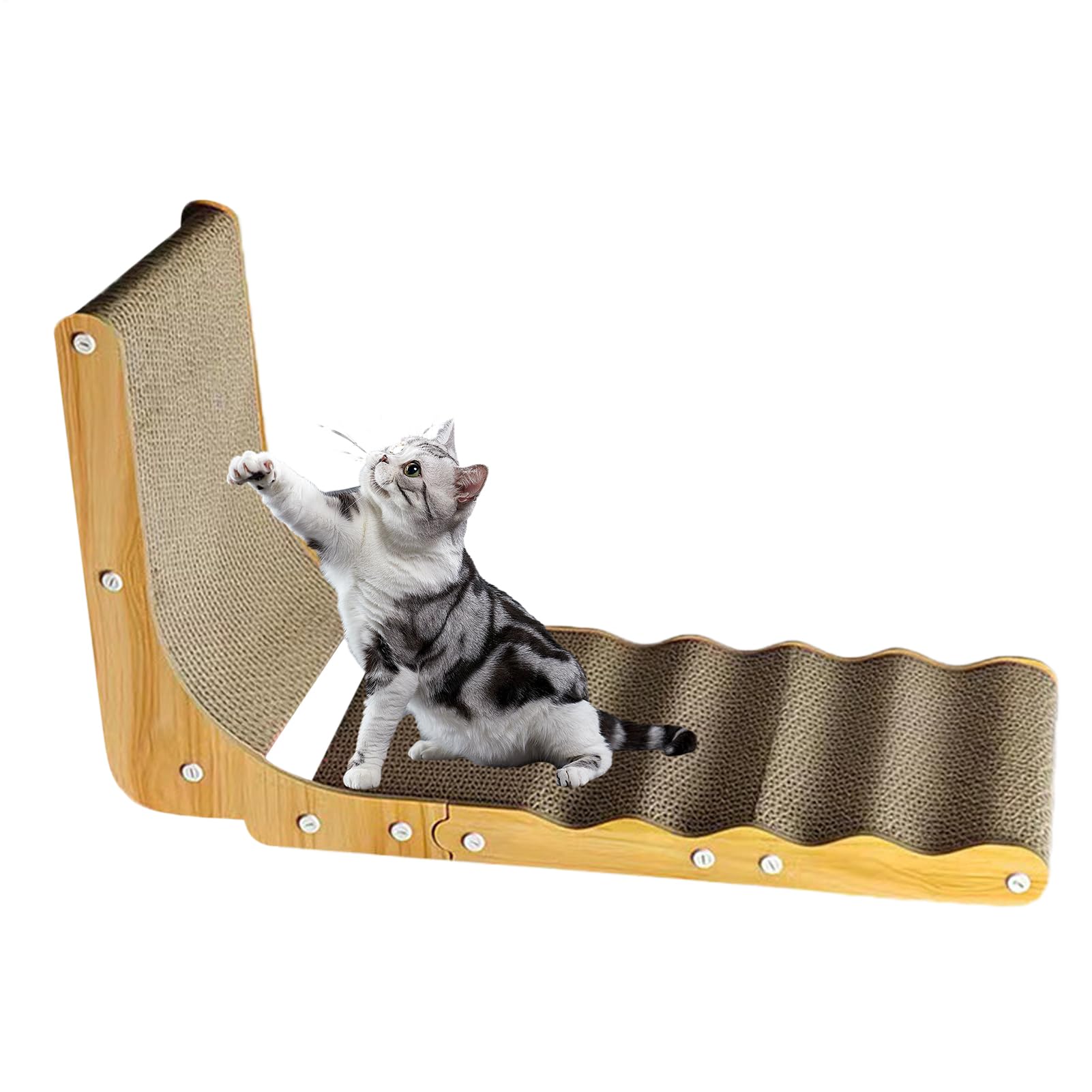 Griffoir pour chat chaton jouet interactif bonheur