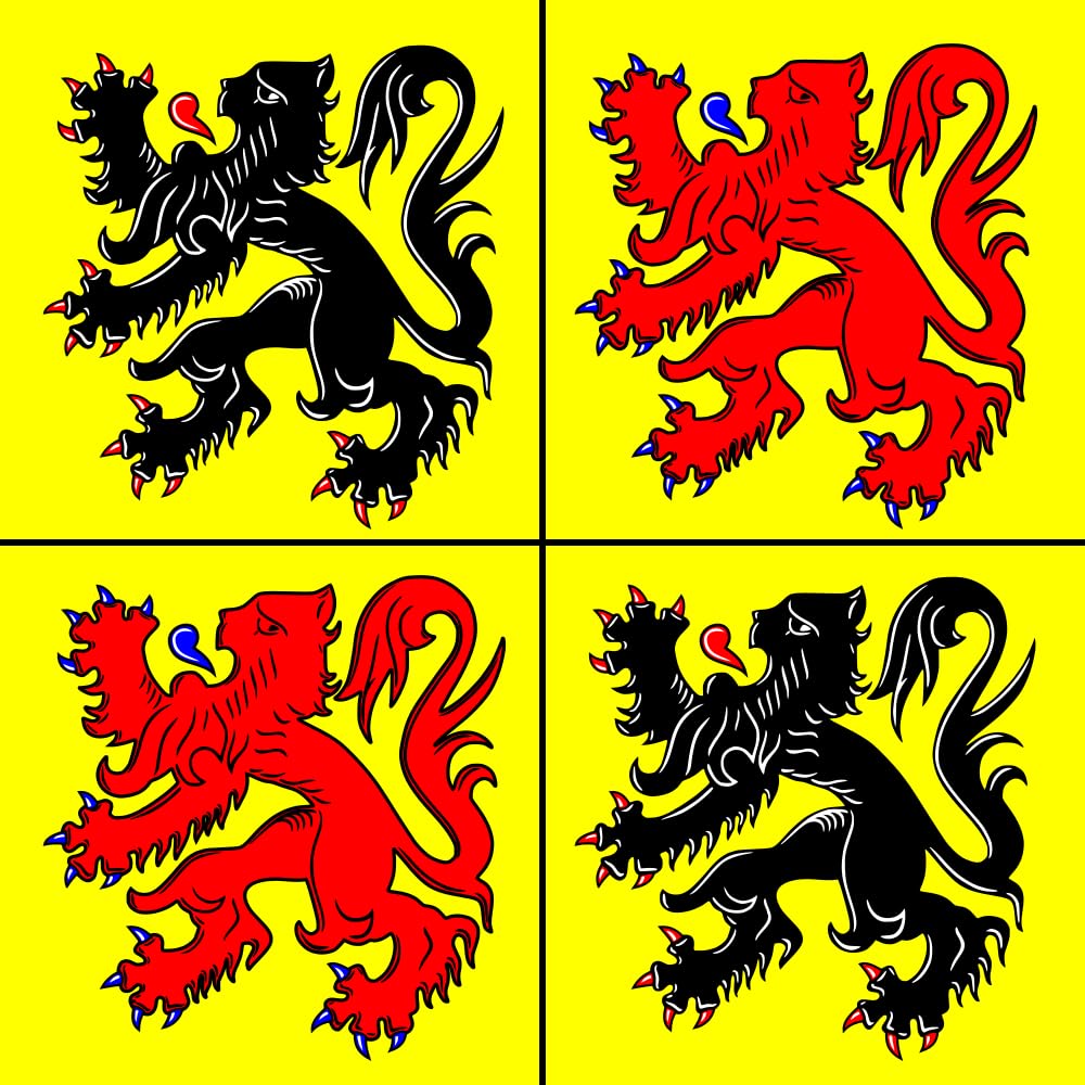 Drapeau Hainaut XL pour pavoiser votre extérieur et vos événements