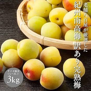 Amazon | [みさわのやさい] 南高梅 生梅 完熟梅 訳あり サイズ混合(L