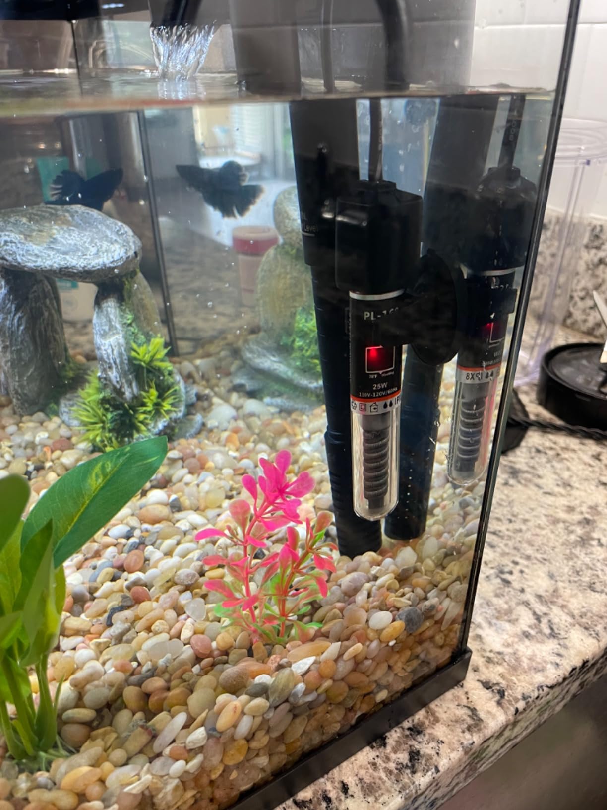2/mo Finance PULACO 25W Small Aquarium Betta Heater with Free Thermometer Strip, Under 6