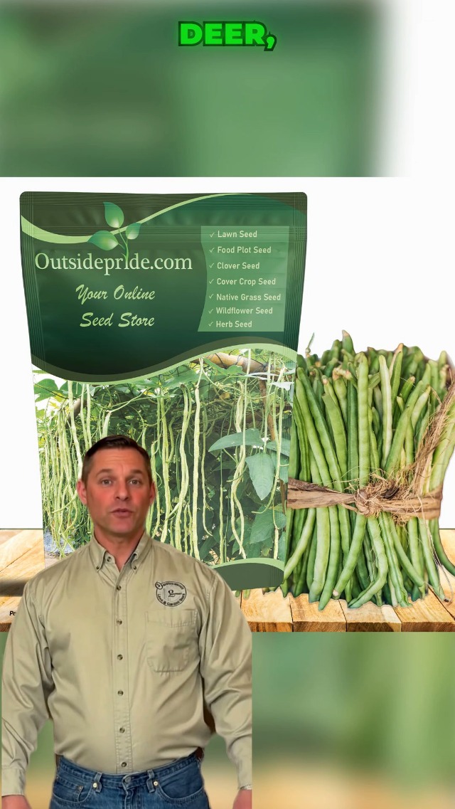 Amazon.com : Outsidepride Cowpeas Seeds - 10 lbs Heat & Drought-Tolerant,  Nutrient-Rich Cowpea Seeds for Cover Crops, Food Plots, Forage