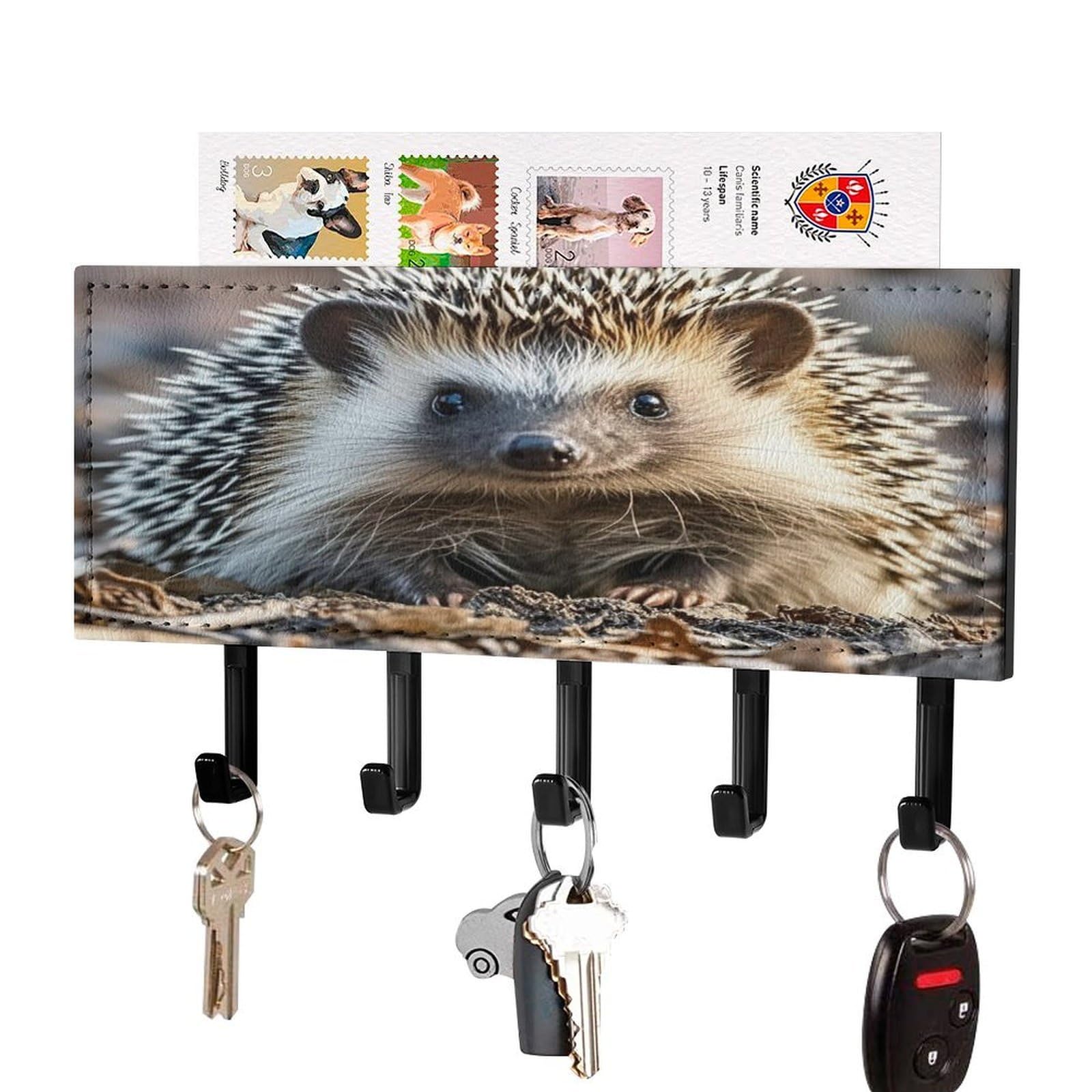 Fekiloot Black-Style Hedgehog Key Holder Wall Mount Key Hanger With 5 Hooks Decorative Key Rack Hanging Key Hooks With Mail Organizer Key Holder For Wall Living Room Kitchen Bathroom Hallway Black