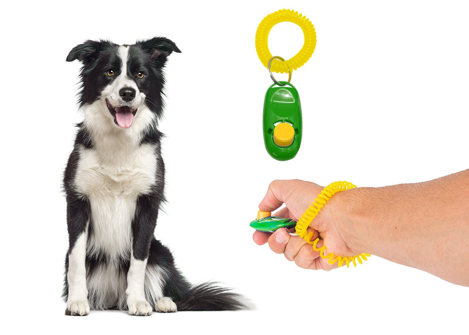 Sage Square Pet Training Clicker with Wrist Strap for Dog/Cat/Kitten/Puppy/Bird (Green) (B07CRZNF5S) Amazon Price History, Amazon Price Tracker