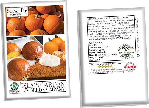 Miniatura 6 de Semillas de calabaza "Sugar Pie" para plantar, más de 20 semillas tradicionales por paquete, semillas de jardín de Isla