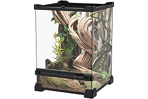 Reptile Glass Terrarium Tank: Your Captivating Abode for Reptile Friends (8”x8”x12”)