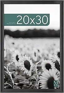 MCS Studio Gallery Classic 20x30 Poster Frame Black Woodgrain, Vertical & Horizontal Wall Hanging Large Picture Frame for Photos, Posters & Art Prints (1-Pack)