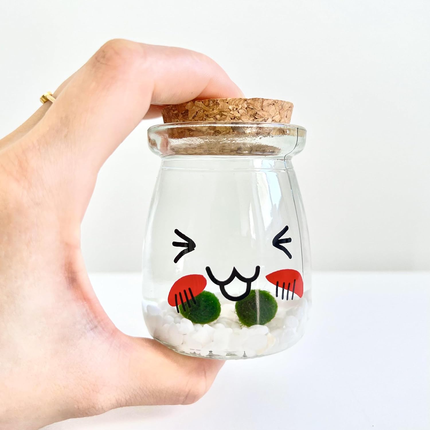 Desktop Aquarium Set Cute Face Glass Jar with Cork, 2pcs Live Aqua Balls, DIY Terrarium Gift (5 Sets)