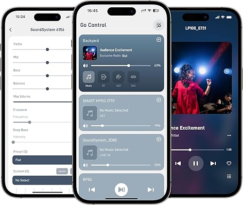 Miniatura 8 de Arylic Amplificador de alta fidelidad digital inalámbrico A100 con radio FM, WiFi de 100 W × 2 y receptor de audio Bluetooth, compatible con