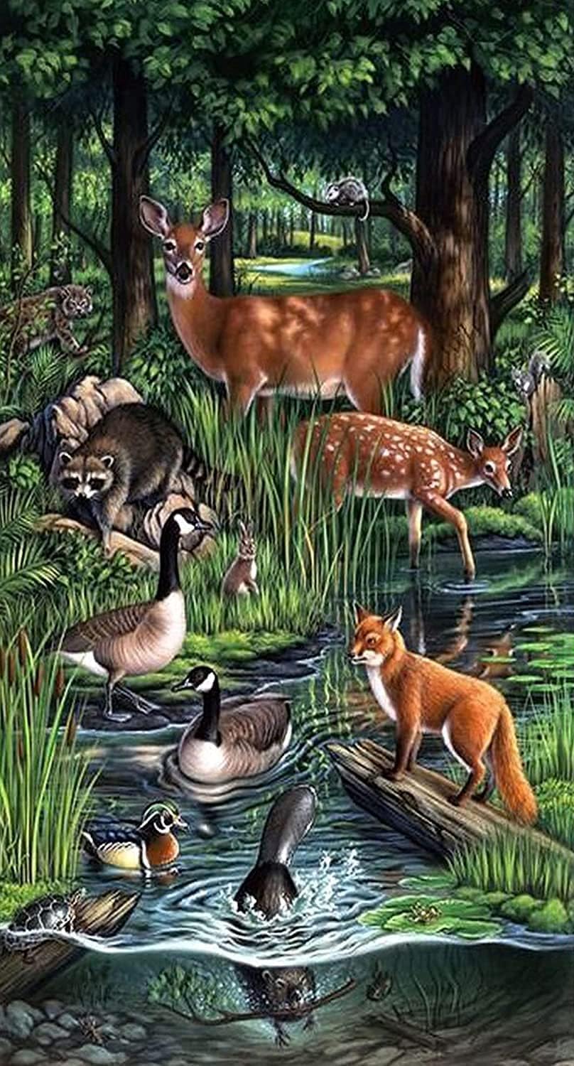YALKIN 5D Diamond Painting Kits for Adults DIY Large Animal Full Round Drill (27.56 x 15.7 inch) Embroidery Pictures Arts Paint by Number Kits Diamond Painting for Home Wall Decor