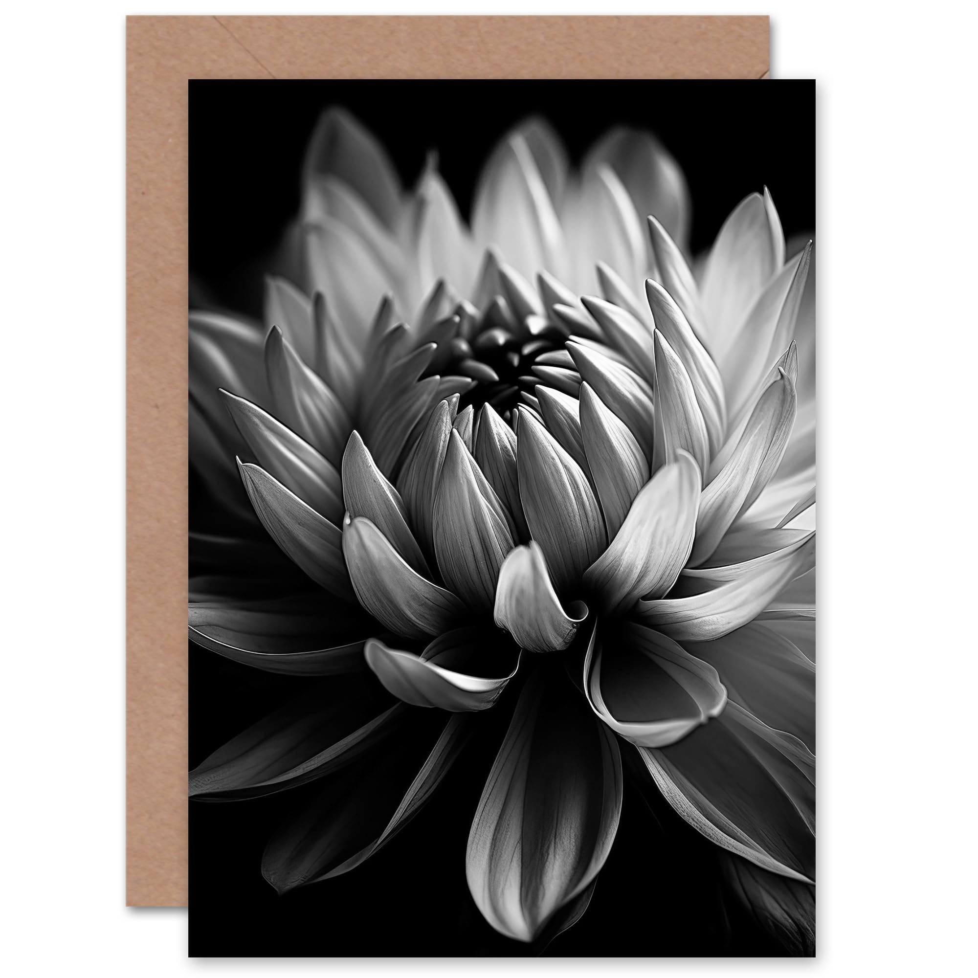 Dahlia Flower Floral Black White for Wife Her Mothers Day Blank Greeting Card