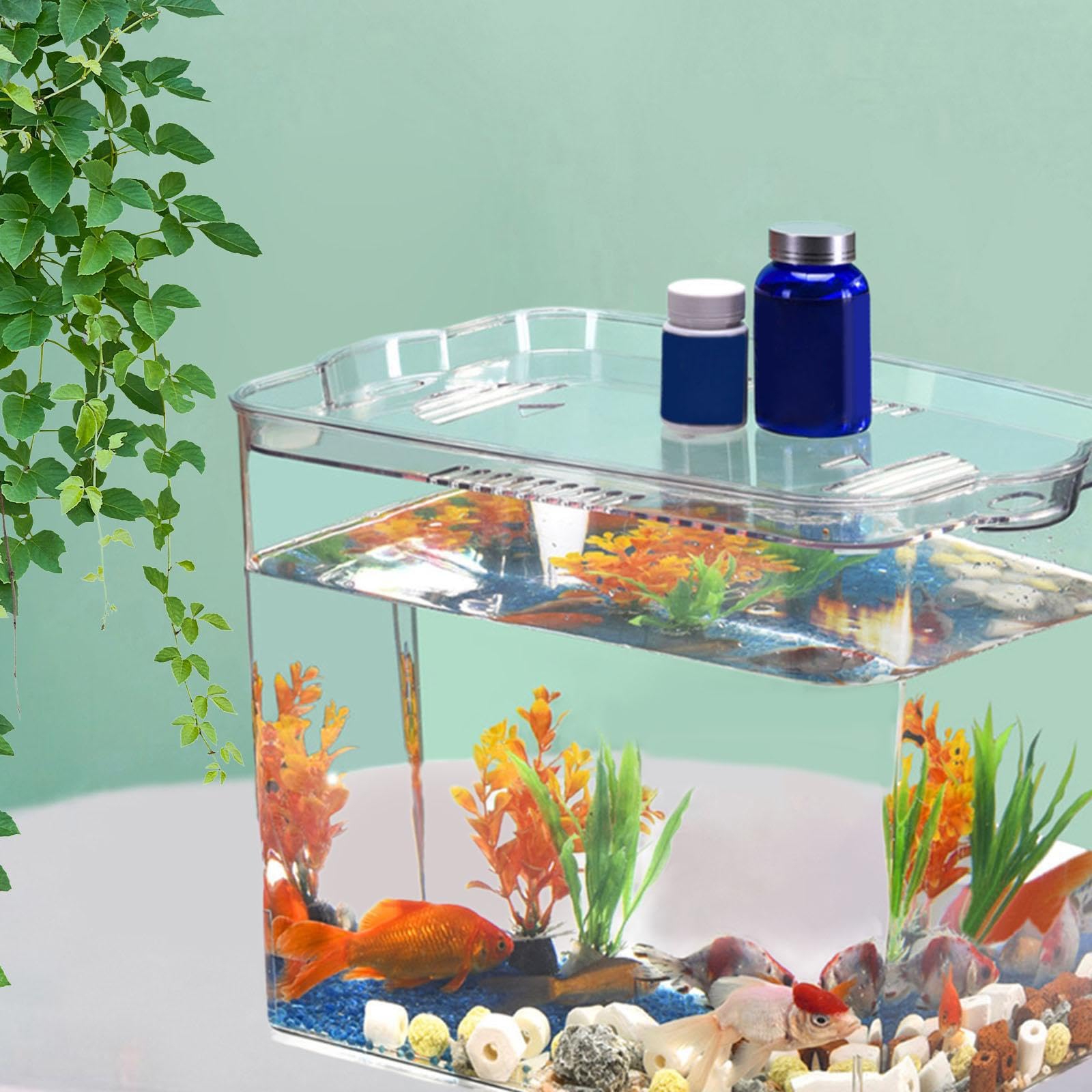 Funktionales Tischaquarium, das Sich leicht umstellen lässt und gleichzeitig Wassertieren EIN Komfortables Zuhause bietet. (Fischglas Aquarium Starterbecken, Schildkrötenbecken zur Zucht)