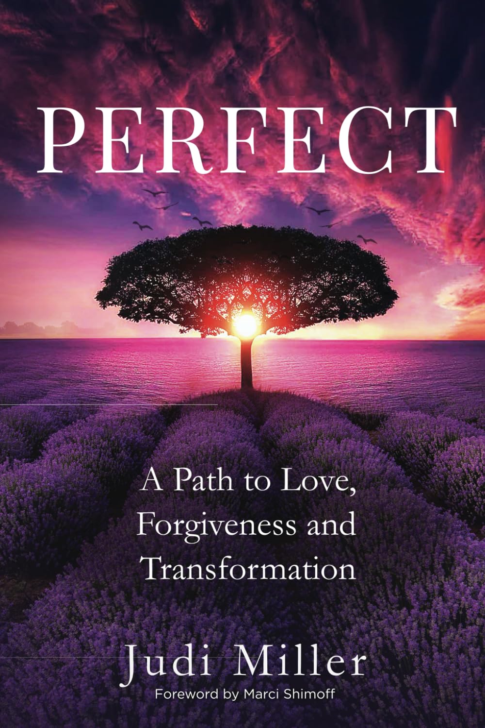Perfect: A Path to Love, Forgiveness and Transformation
