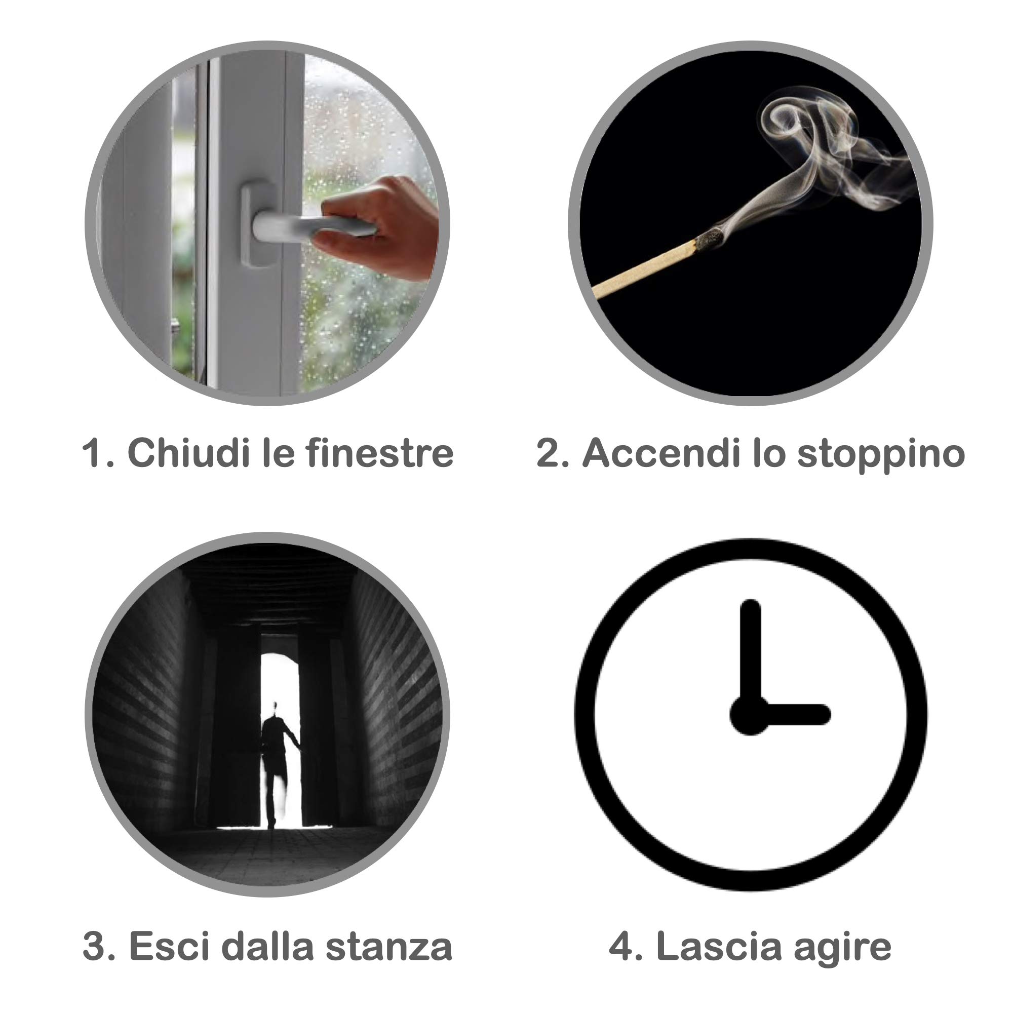 VEBI Fumigante insetticida antitarlo Duracid | Antitarlo per Legno 2X 11g | Insetticida per disinfestazione Insetti Volanti e striscianti | Permetrina antitarlo