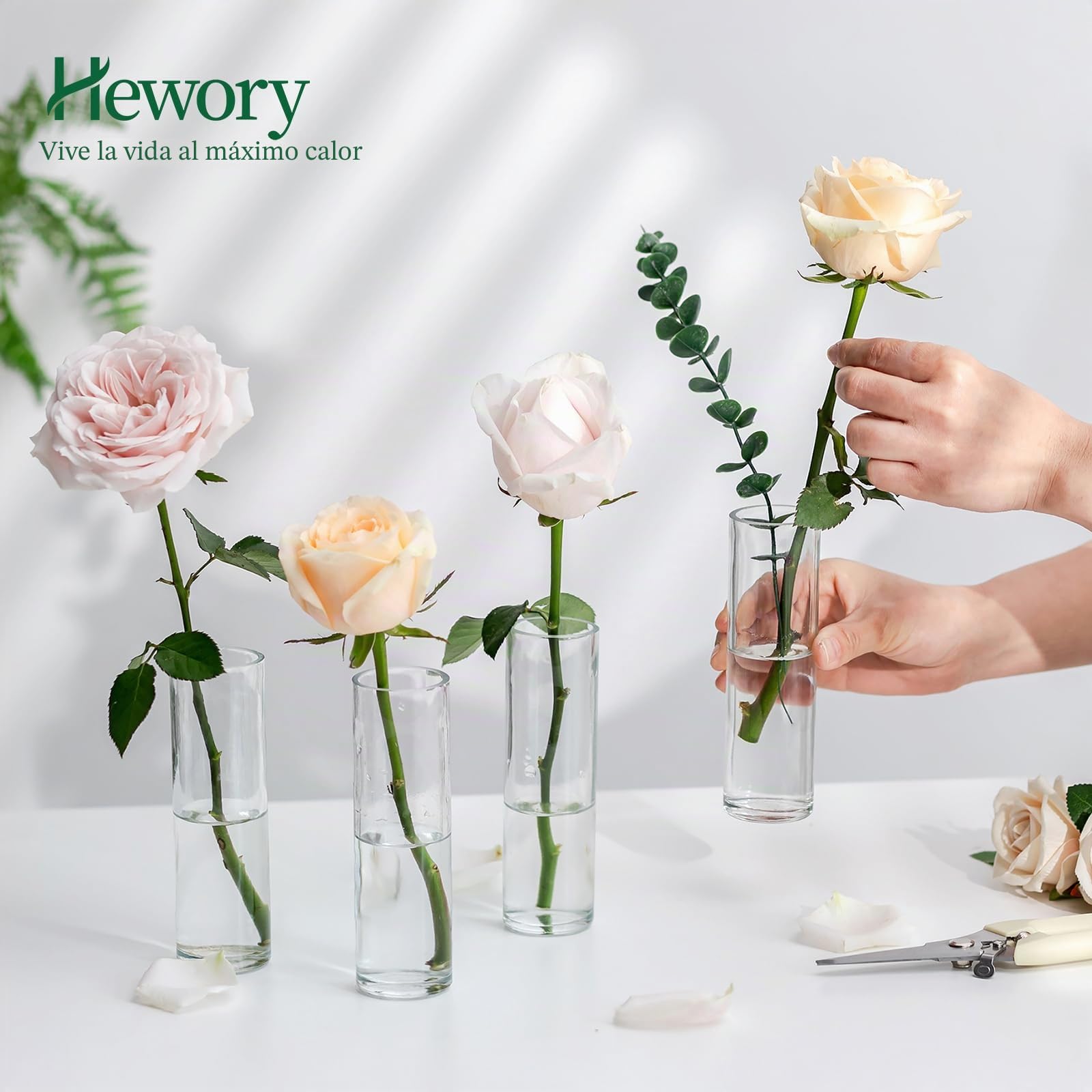 Hewory 24 jarrones pequeños para decoración de mesa de boda: juego de jarrones pequeños de cristal para decoración de boda – 15 cm jarrón de cristal cilindro jarrón pequeño jarrón cilíndrico para
