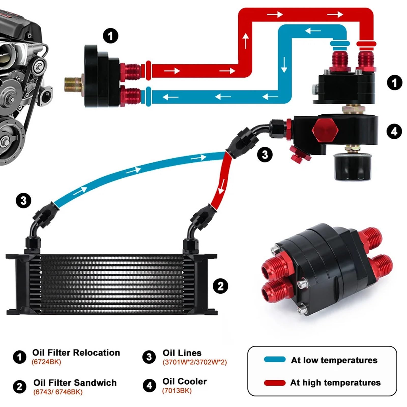 Radiatore Olio Motore Universale a 10 File, radiatore Olio Motore in Alluminio, Kit di ricollocazione Filtro Olio con Tubo Carburante AN10 da 3 Pollici e Kit di raccordi.