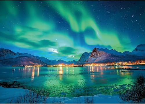 Miniatura 18 de Rompecabezas de 500 piezas para adultos - Rompecabezas de arte de animales de perro de piedra de playa para adultos, desafiante diversión familiar,