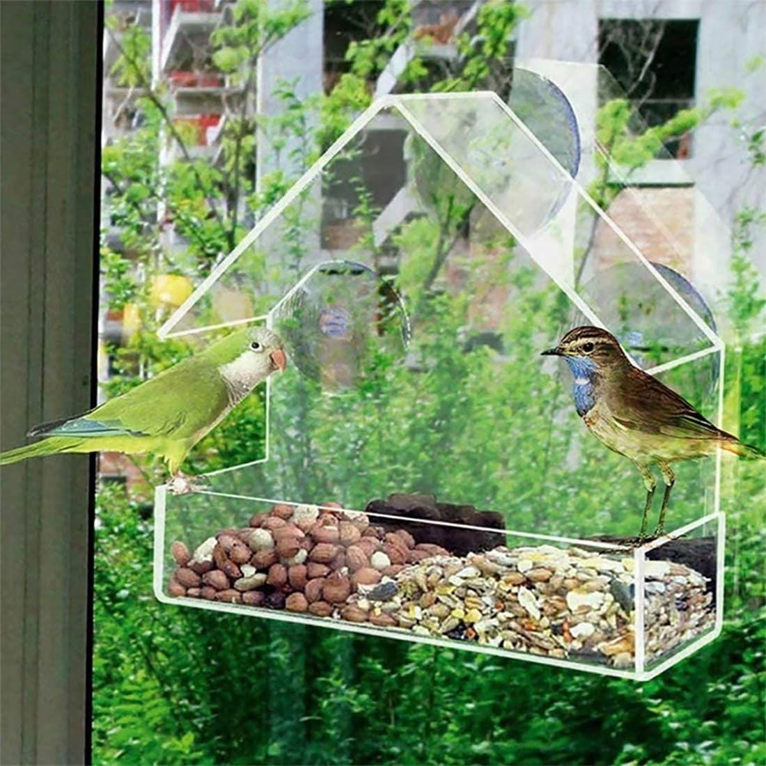 HOE JE EEN DIY-VOGELVOERBAK KUNT MAKEN MET OUDE THEEKOPJES - - Official website