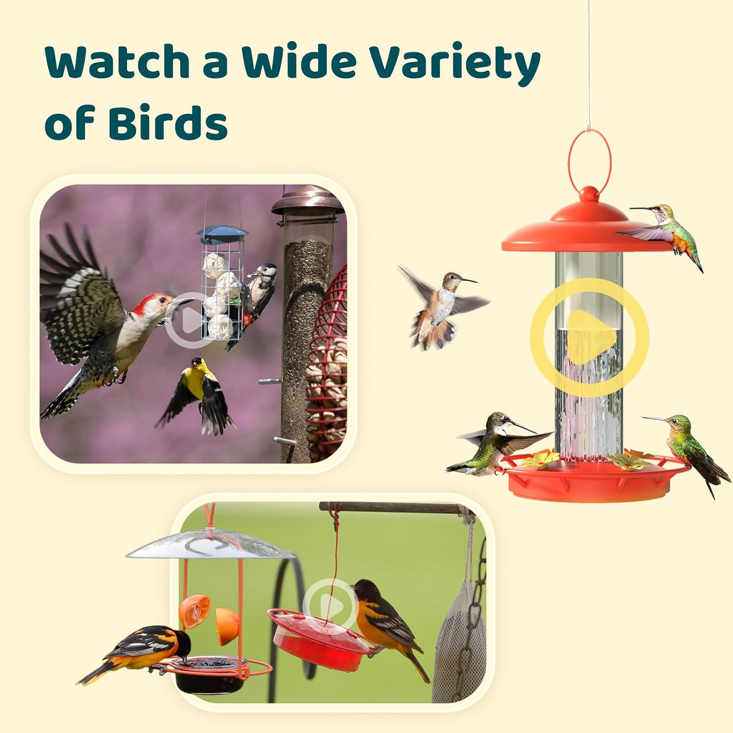 NETVUE by Birdfy Smart Bird Feeder Camera, Adjustable Brackets, Auto Bird Video Capture, Instant Notifications, AI Identify 6000+ Species