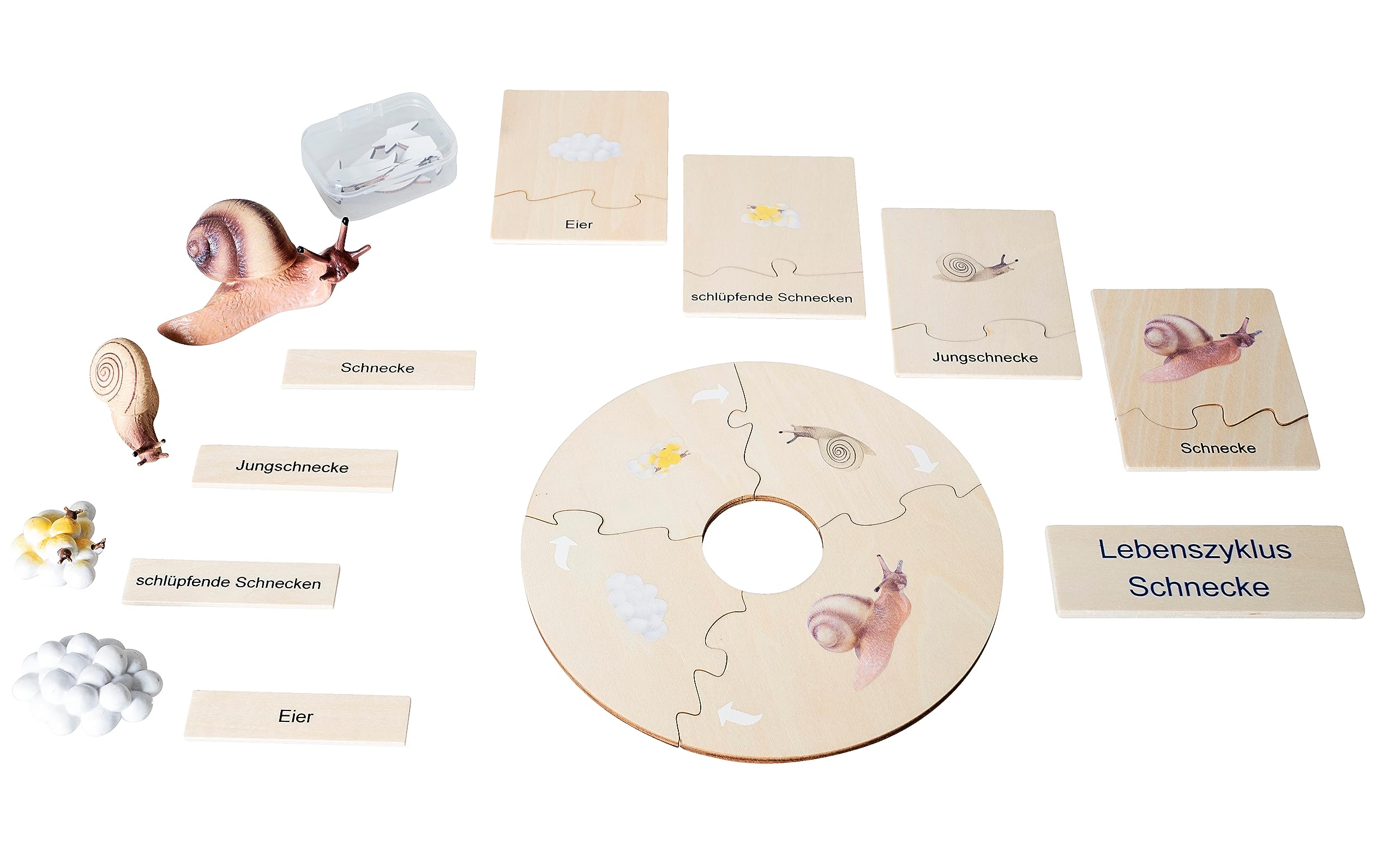 Betzold Lebenszyklus Schnecke - Holz-Puzzle Figuren Textkarten Deutsch & Englisch