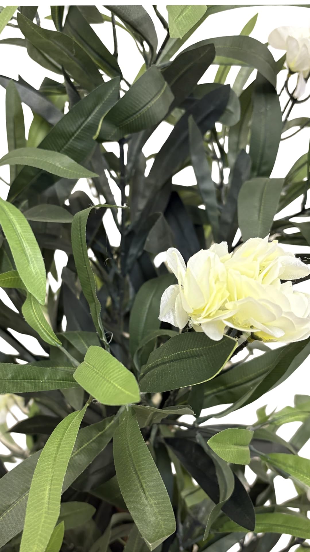 Amazon.de: Oleander Creme 120 cm knstlich wie echt Kunstbaum Kunstpflanze  Kunstblume Deko