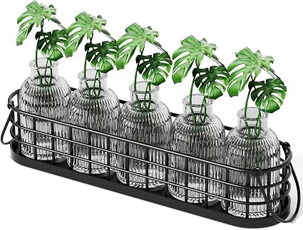Plant Propagation Stations,Plant Terrarium for Propagating Hydroponic,Glass Planter Flower Vase for Hydroponic Plants,Home Kitchen Office Decor, Plant Lover Gifts for Women with Metal Stand